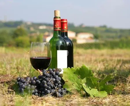 Appartamento Douillet Avec Terrasse